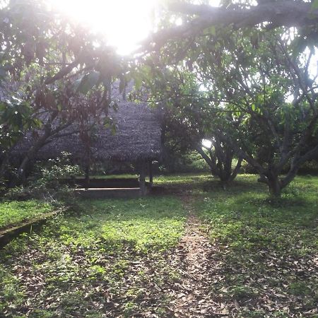 Hotel Art Forest Auroville Exterior foto