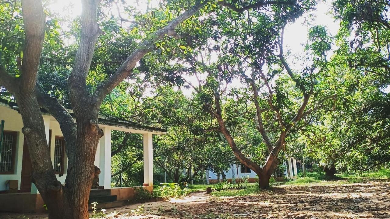 Hotel Art Forest Auroville Exterior foto