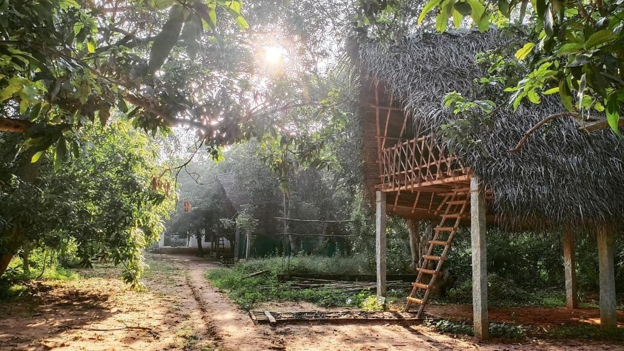 Hotel Art Forest Auroville Exterior foto
