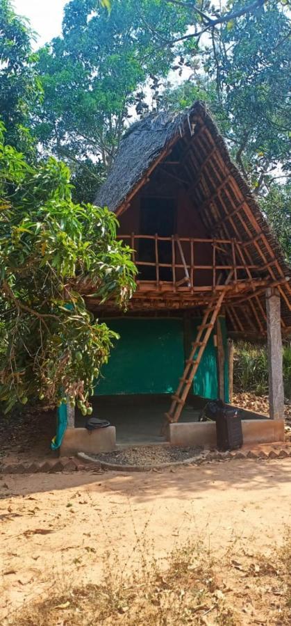 Hotel Art Forest Auroville Exterior foto